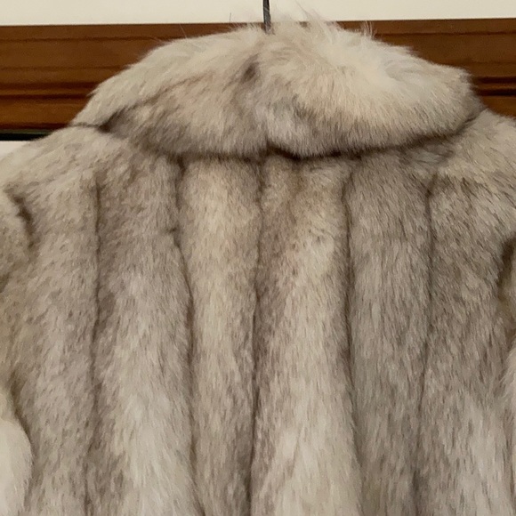 Silver Fox Coat - Picture 7 of 16